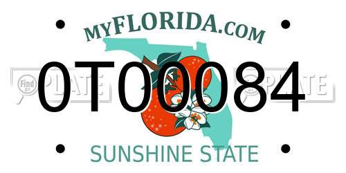 0T00084 Florida License Plate