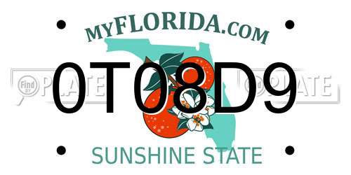 0T08D9 Florida License Plate