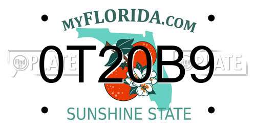 0T20B9 Florida License Plate