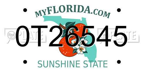 0T26545 Florida License Plate