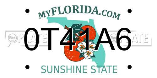 0T41A6 Florida License Plate