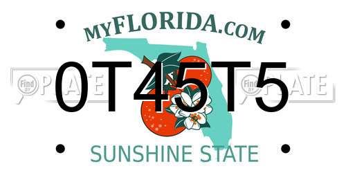 0T45T5 Florida License Plate