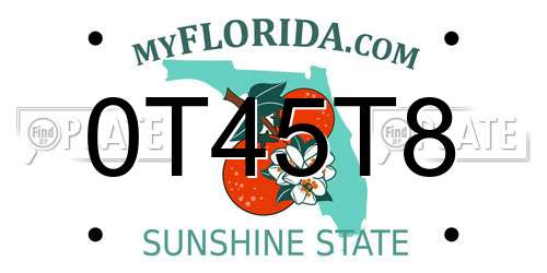 0T45T8 Florida License Plate