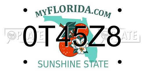 0T45Z8 Florida License Plate