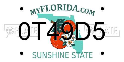 0T49D5 Florida License Plate