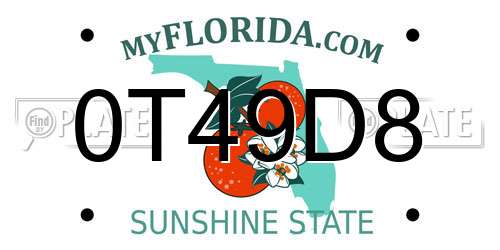 0T49D8 Florida License Plate