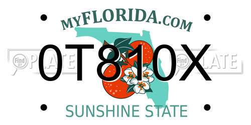 0T810X Florida License Plate