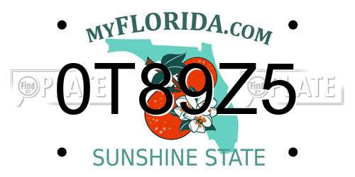 0T89Z5 Florida License Plate