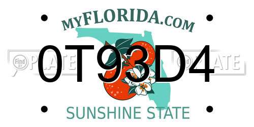 0T93D4 Florida License Plate