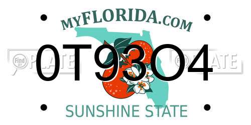 0T93O4 Florida License Plate