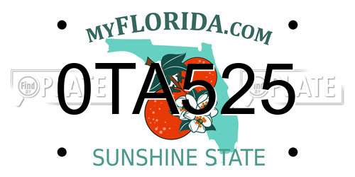 0TA525 Florida License Plate