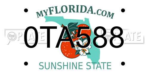 0TA588 Florida License Plate