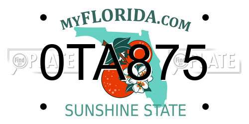 0TA875 Florida License Plate