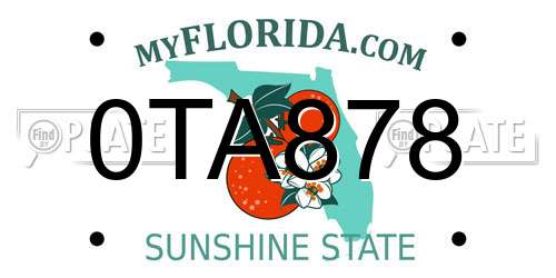 0TA878 Florida License Plate