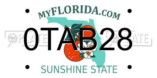 0TAB28 Florida License Plate