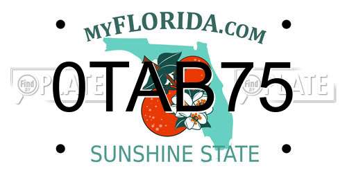 0TAB75 Florida License Plate