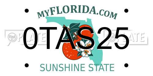0TAS25 Florida License Plate