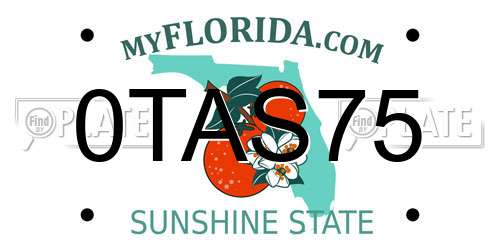 0TAS75 Florida License Plate