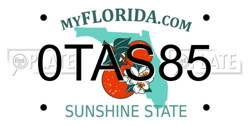 0TAS85 Florida License Plate