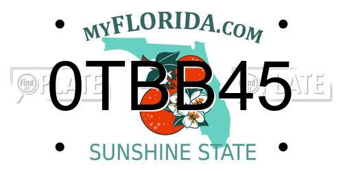 0TBB45 Florida License Plate