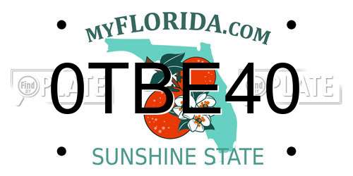 0TBE40 Florida License Plate