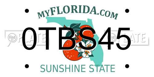 0TBS45 Florida License Plate