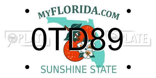 0TD89 Florida License Plate