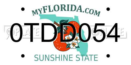 0TDD054 Florida License Plate