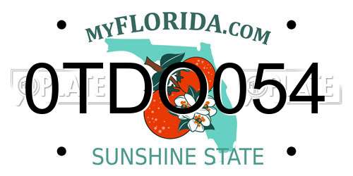 0TDO054 Florida License Plate