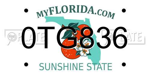 0TG836 Florida License Plate