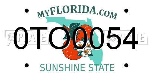 0TO0054 Florida License Plate