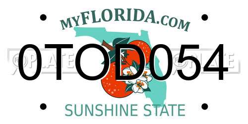 0TOD054 Florida License Plate