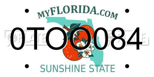 0TOO084 Florida License Plate