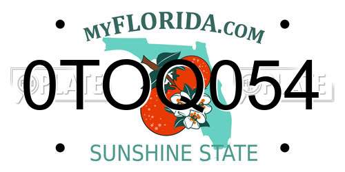 0TOQ054 Florida License Plate