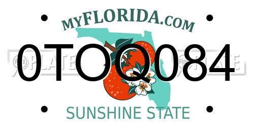 0TOQ084 Florida License Plate
