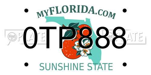 0TP888 Florida License Plate