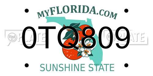 0TQ809 Florida License Plate