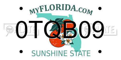 0TQB09 Florida License Plate