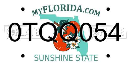 0TQQ054 Florida License Plate
