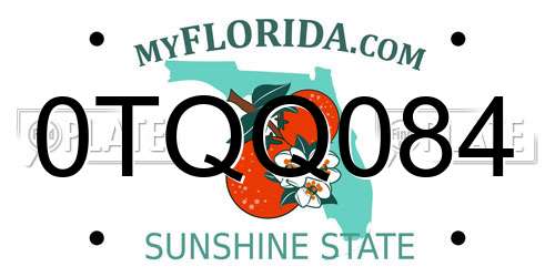 0TQQ084 Florida License Plate