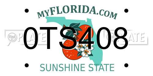 0TS408 Florida License Plate