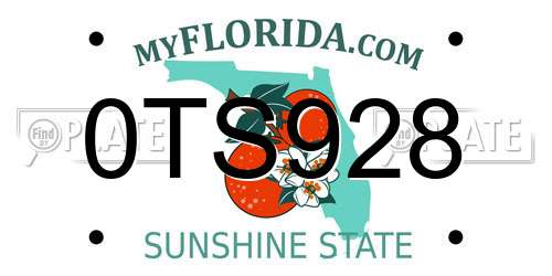 0TS928 Florida License Plate