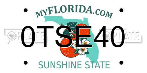 0TSE40 Florida License Plate