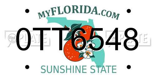0TT6548 Florida License Plate
