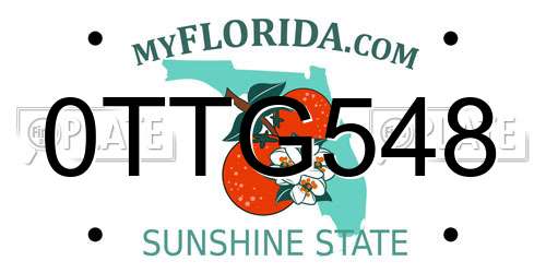 0TTG548 Florida License Plate