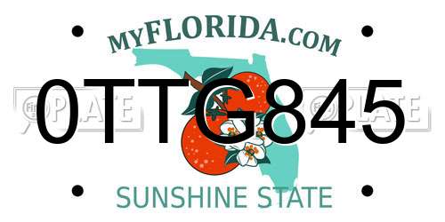 0TTG845 Florida License Plate