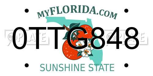 0TTG848 Florida License Plate