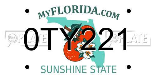 0TY221 Florida License Plate