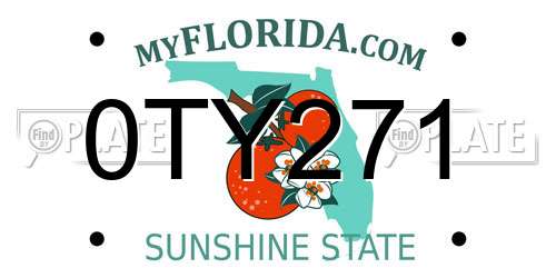 0TY271 Florida License Plate