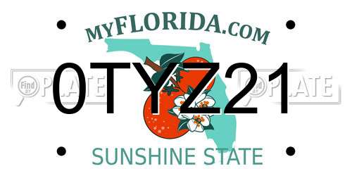 0TYZ21 Florida License Plate